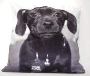 035.BLACK DOG