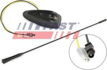 FAST antena