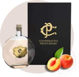 Parfum de cameră "Spice Symphony&quot