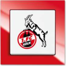 Busch-Jaeger 2000/6 UJ/04 Fanschalter 1. FC