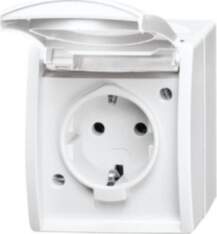 Busch-Jaeger 20 EW-54 SCHUKO® Steckdose ar