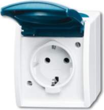 Busch-Jaeger 20 EW-53 SCHUKO® Steckdose ar