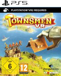 PS VR2 Townsmen VR