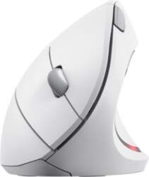 Datora pele Trust MOUSE USB OPTICAL