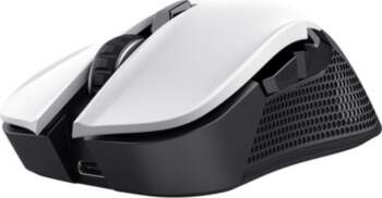 Datora pele Trust  MOUSE USB OPTICAL