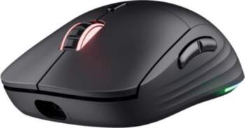 Datora pele Trust MOUSE USB OPTICAL