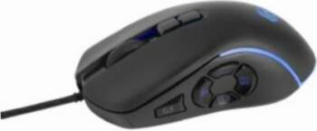 Datora pele Gembird  MOUSE USB OPTICAL