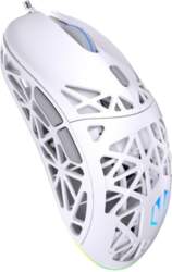 Datora pele Endorfy  MOUSE USB OPTICAL