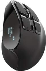 Datora pele Trust MOUSE USB OPTICAL