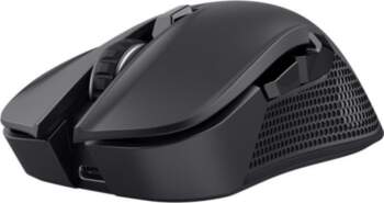 Datora pele Trust  MOUSE USB OPTICAL