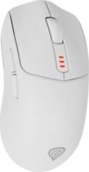 Datora pele Genesis Zircon 500 |
