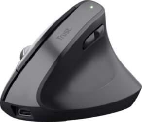 Datora pele Trust  MOUSE USB OPTICAL