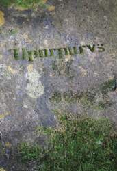 Upurpurvs