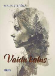 Vaidu kalns