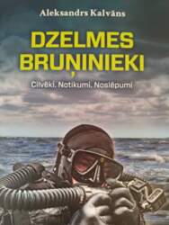 Dzelmes bruņinieki