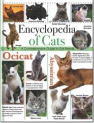 Encyclopedia of Cats. A Comprehensive Guide