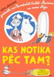 Kas notika pēc tam?