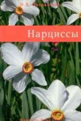 Narcissi