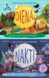 Dienā/naktī