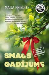 Smags gadījums