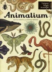 Animalium