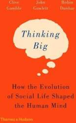 Thinking Big