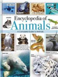 Encyclopedia of Animals. A Comprehensive Guide