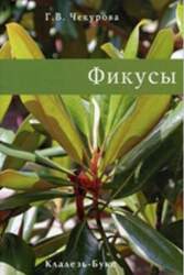 Fikusi