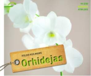 Orhidejas