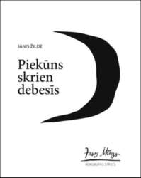 Piekūns skrien debesīs