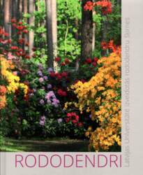 Rododendri