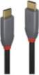 Lindy 5 m USB 3.2