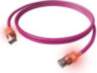 Easylan S FTP dualboot LED Cat