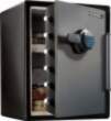 MasterLock Safe (LFW205FYC) [Sejf]