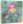 SPĒLE Virus.Roll Rakstiet 58046 [GRA