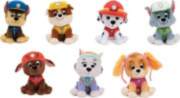 Spin Master PAW PATROL FIG PLUS