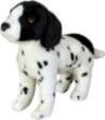 Dubi angļu pointer suns stāv 28cm