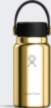 Hydro Flask Mini Thermal Bottle 200