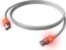 Easylan EasyLan S/FTP DualBoot LED plākstera