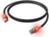 Easylan EasyLan S/FTP DualBoot LED plākstera