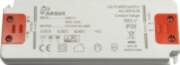 Inter-Tech LED-Driver LED 12-30 12V izejas
