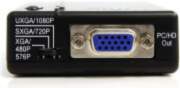 Adapteris AV StarTech Composite Video —