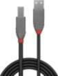 Lindy USB-A — USB-B USB kabelis