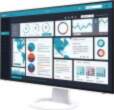 Monitors Eizo FlexScan EV2495-WT [Monitor]