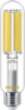 Philips LED spuldze TForce Core Road