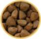 Biofeed BIOFEED Euphoria Fresh Meat Junior