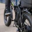Green Cell Cell — GC Silverfish