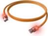 Easylan EasyLan S/FTP DualBoot LED plākstera