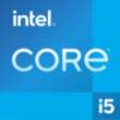 Procesor Intel Intel Core i5-13400 procesor