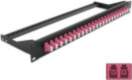 DeLOCK 19? Fiber Patch Panel 24